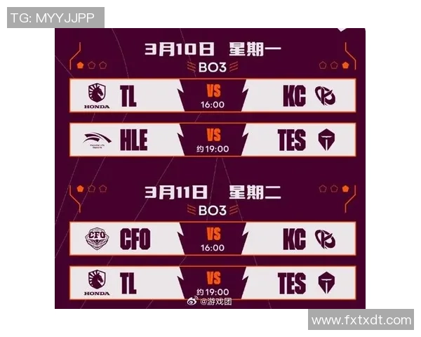 TES战队灵活性分析与战术演变的深度探讨与启示