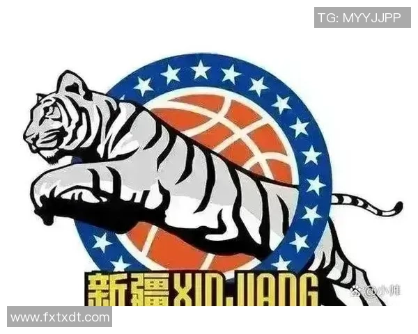 全国锦标赛分析南京篮球队意识表现与战术执行的深度探讨