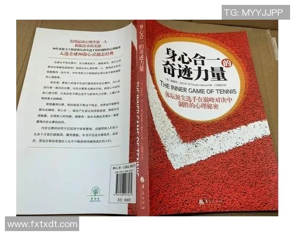 上海网球队团队协作改革探讨与热议助力网球发展新篇章