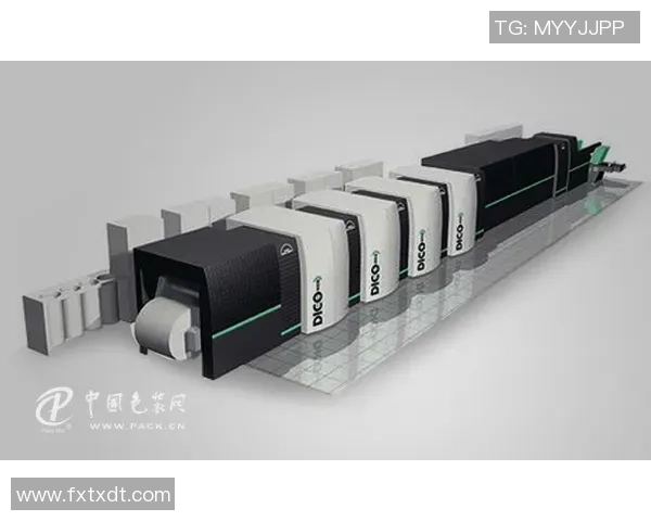 南京排球队的节奏解析与发展动态探讨