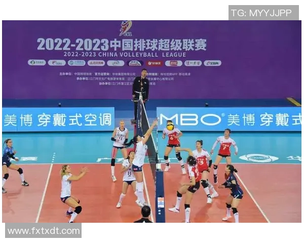 深圳排球队速度之争引发热议球迷观点各异分析精彩瞬间