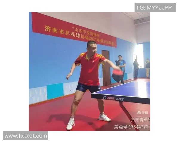 武汉乒乓球队区域防守策略解析与深度剖析